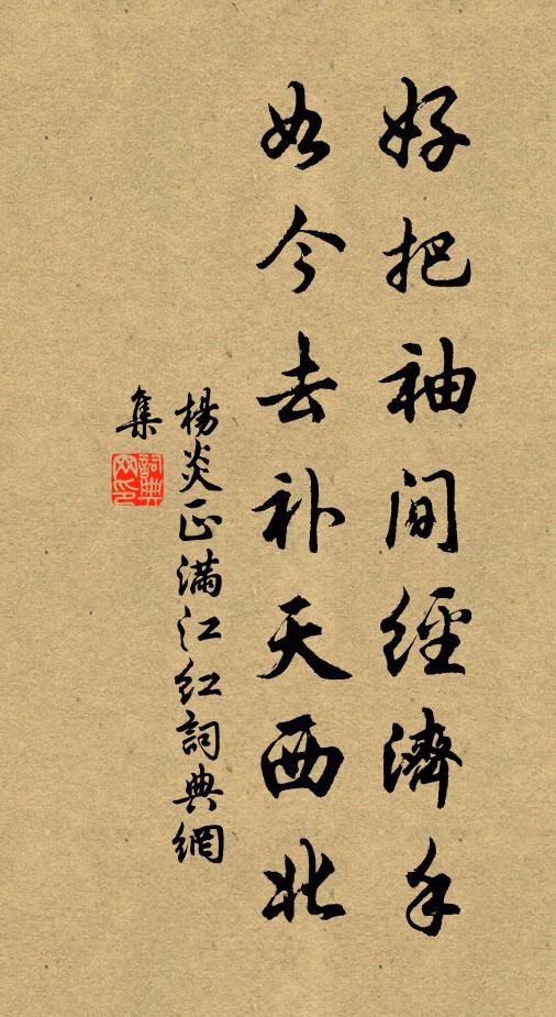 杨炎正好把袖间经济手，如今去补天西北书法作品欣赏