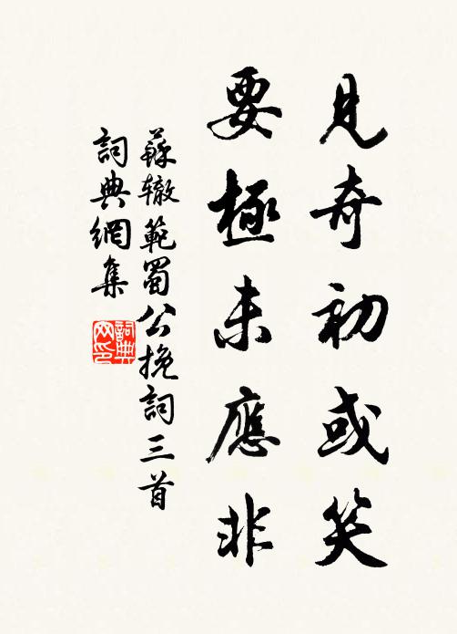苏辙见奇初或笑，要极未应非书法作品欣赏