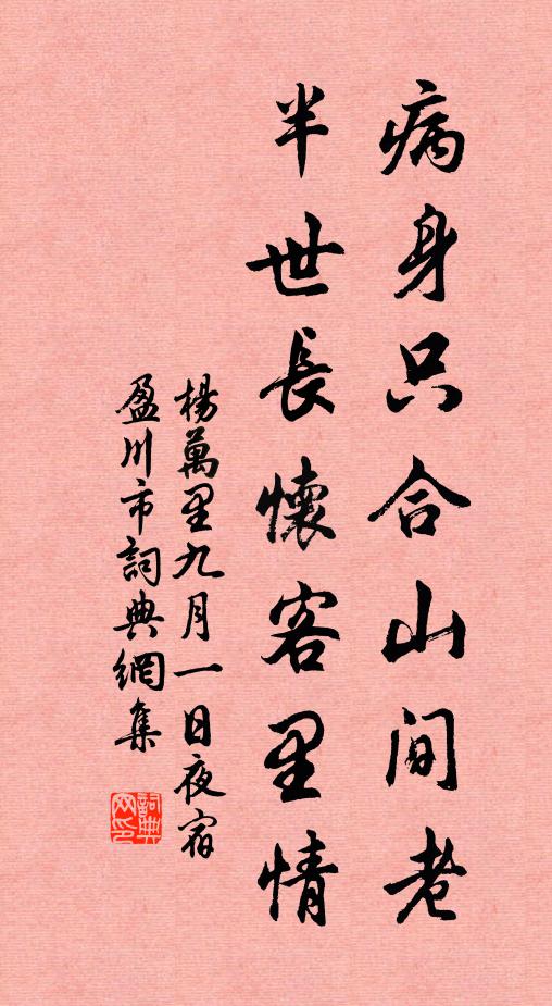 杨万里病身只合山间老，半世长怀客里情书法作品欣赏