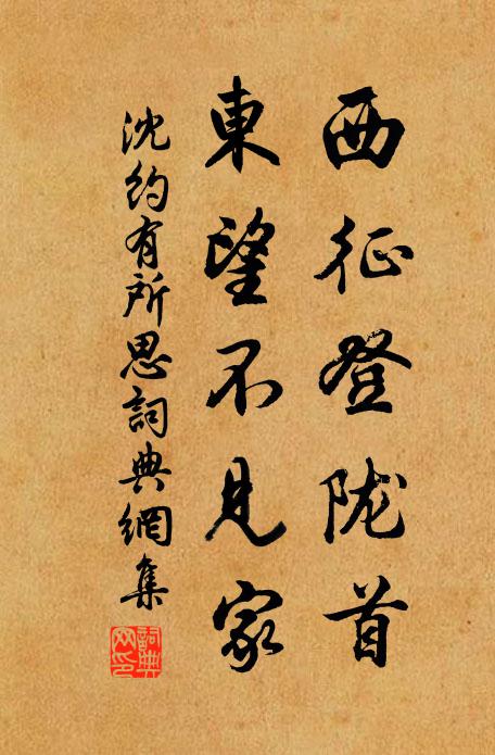沈约西征登陇首，东望不见家书法作品欣赏