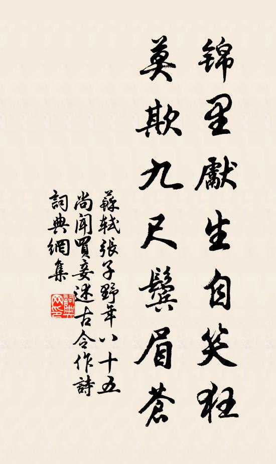 苏轼锦里先生自笑狂，莫欺九尺鬓眉苍书法作品欣赏