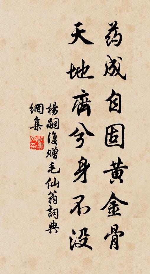 杨嗣复药成自固黄金骨，天地齐兮身不没书法作品欣赏