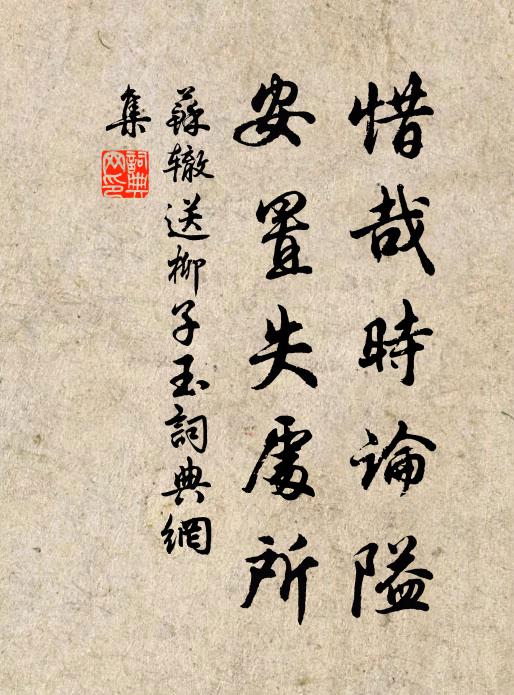 苏辙惜哉时论隘，安置失处所书法作品欣赏