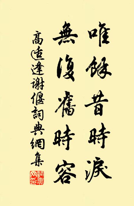 高适唯馀昔时泪，无复旧时容书法作品欣赏