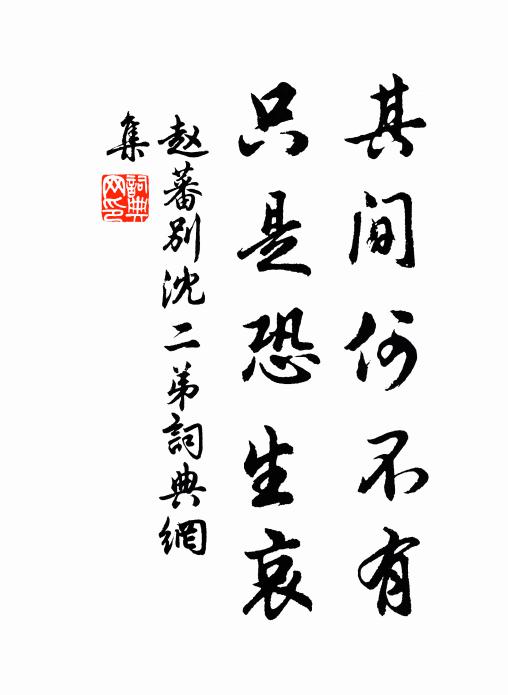 赵蕃其间何不有，只是恐生哀书法作品欣赏