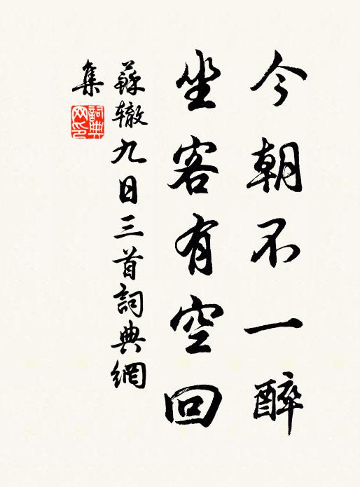 苏辙今朝不一醉，坐客有空回书法作品欣赏