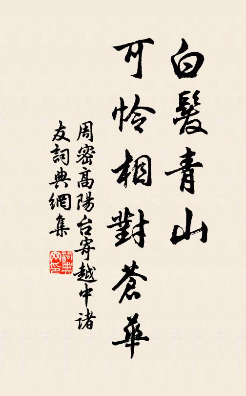周密白发青山，可怜相对苍华书法作品欣赏
