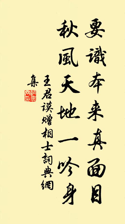 王君谟要识本来真面目，秋风天地一吟身书法作品欣赏