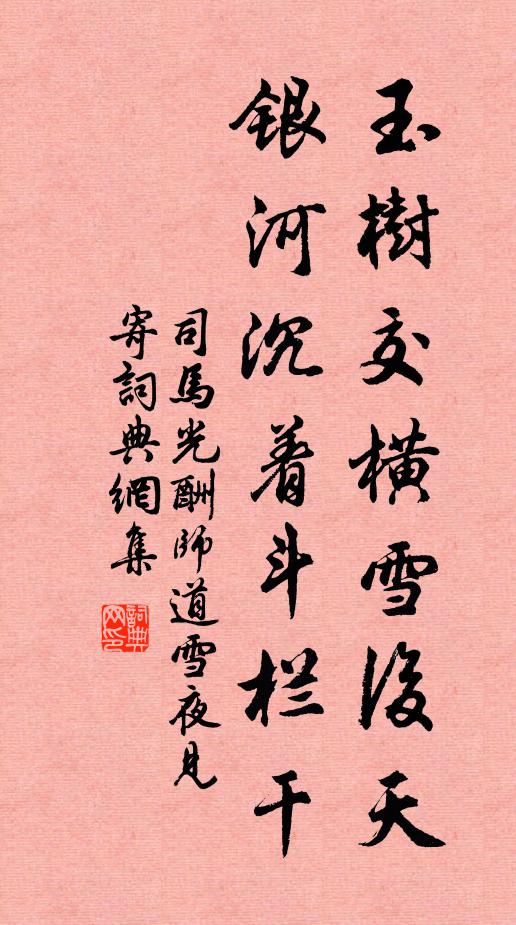 司马光玉树交横雪后天，银河沉着斗栏干书法作品欣赏
