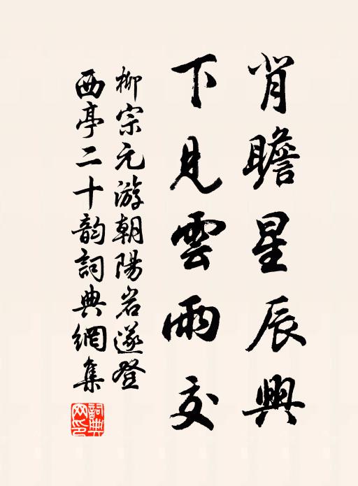柳宗元背瞻星辰兴，下见云雨交书法作品欣赏
