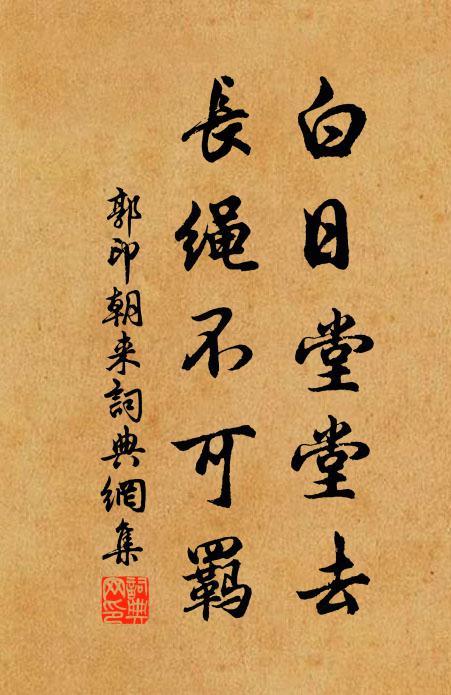 郭印白日堂堂去，长绳不可羁书法作品欣赏