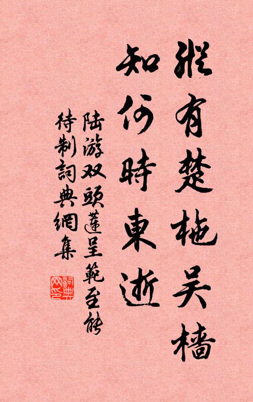 陆游纵有楚柂吴樯，知何时东逝书法作品欣赏