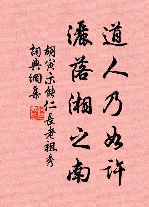 胡寅道人乃如许，洒落湘之南书法作品欣赏