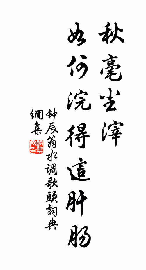 钟辰翁秋毫尘滓，如何浣得这肝肠书法作品欣赏