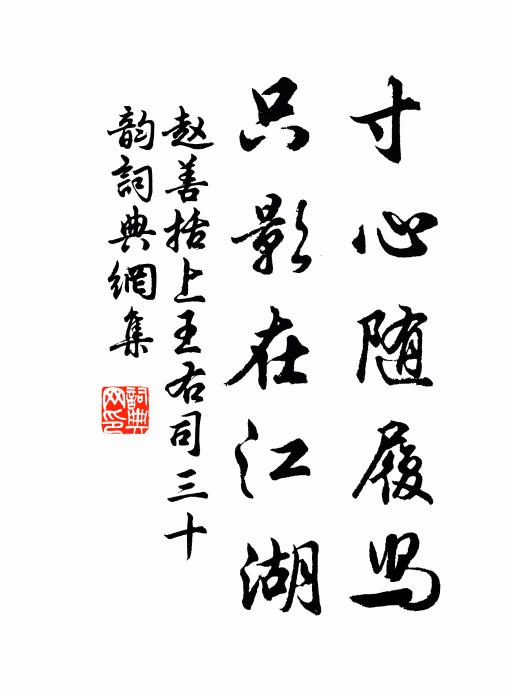 赵善括寸心随履舄,只影在江湖书法作品欣赏