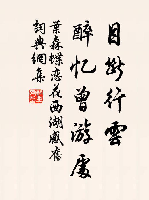 叶森目断行云，醉忆曾游处书法作品欣赏