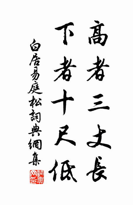 白居易高者三丈长，下者十尺低书法作品欣赏