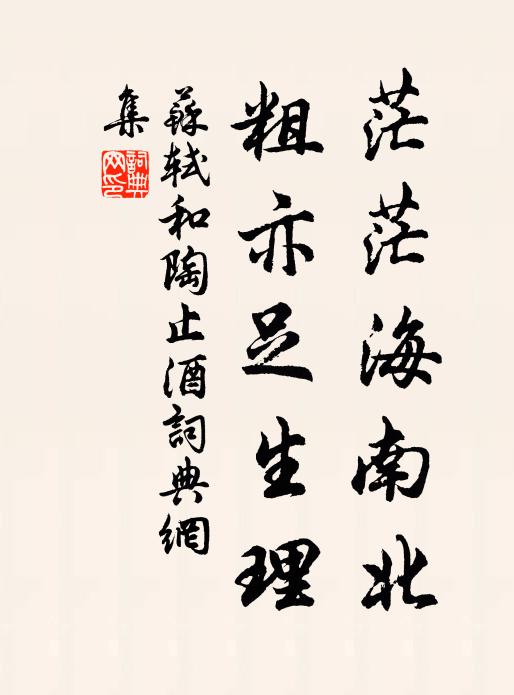 苏轼茫茫海南北，粗亦足生理书法作品欣赏