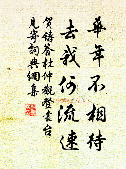 贺铸华年不相待，去我何流速书法作品欣赏