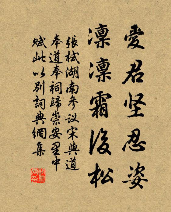 张栻爱君坚忍姿，凛凛霜后松书法作品欣赏