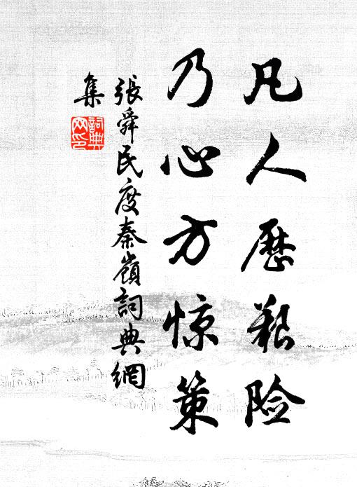 张舜民凡人历艰险，乃心方惊策书法作品欣赏