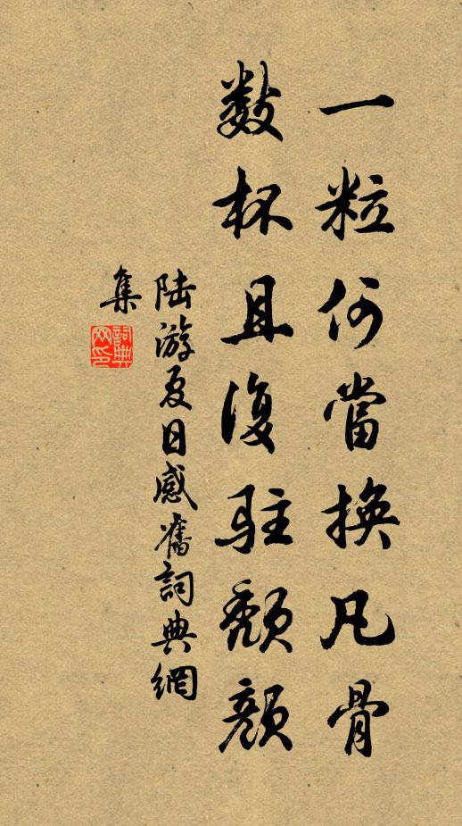 陆游一粒何当换凡骨，数杯且复驻颓颜书法作品欣赏