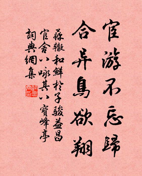 苏辙宦游不忘归，合异鸟欲翔书法作品欣赏