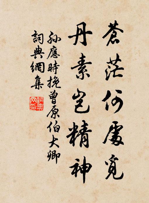 孙应时苍茫何处觅，丹素岂精神书法作品欣赏