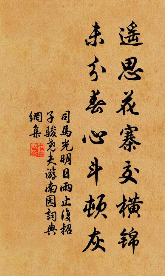 司马光遥思花寨交横锦，未分春心斗顿灰书法作品欣赏