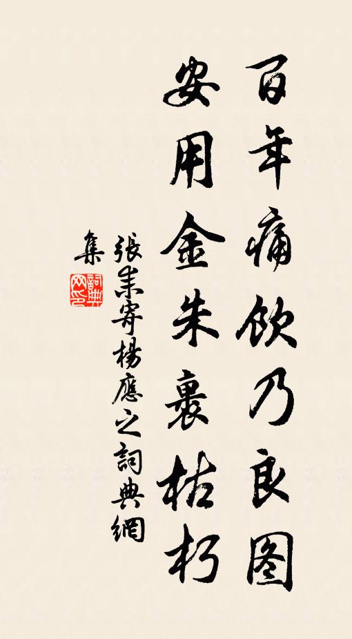 张耒百年痛饮乃良图，安用金朱裹枯朽书法作品欣赏