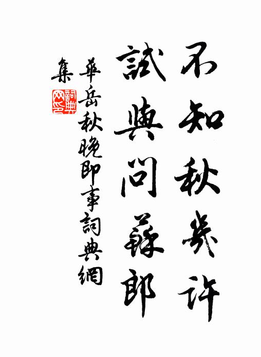 华岳不知秋几许，试与问苏郎书法作品欣赏