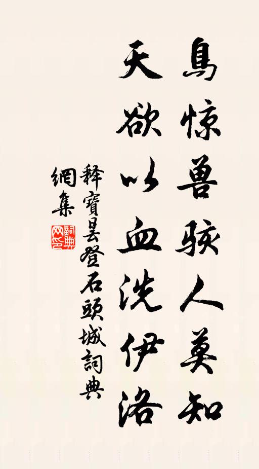 释宝昙鸟惊兽骇人莫知，天欲以血洗伊洛书法作品欣赏