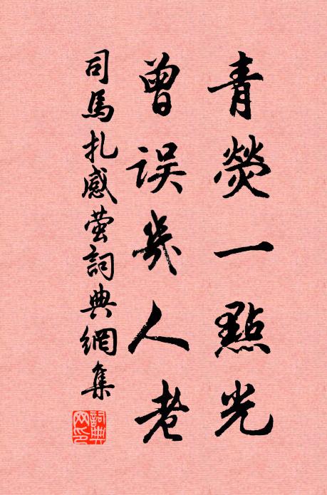 司马扎青荧一点光，曾误几人老书法作品欣赏