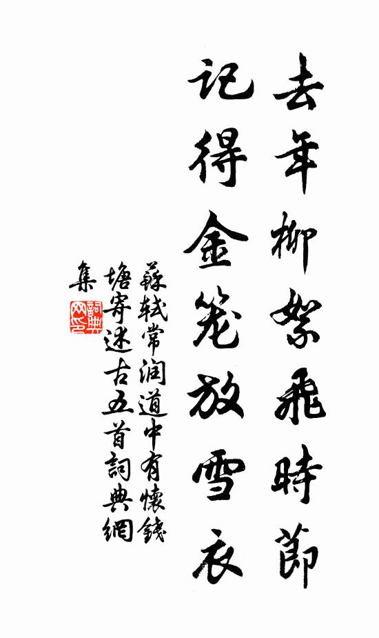 苏轼去年柳絮飞时节，记得金笼放雪衣书法作品欣赏