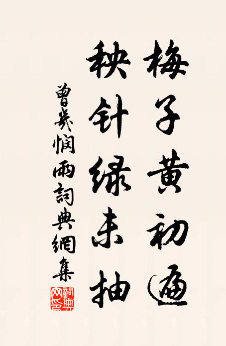 曾几梅子黄初遍，秧针绿未抽书法作品欣赏