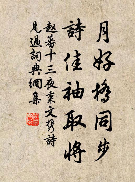 赵蕃月好桥同步，诗佳袖取将书法作品欣赏