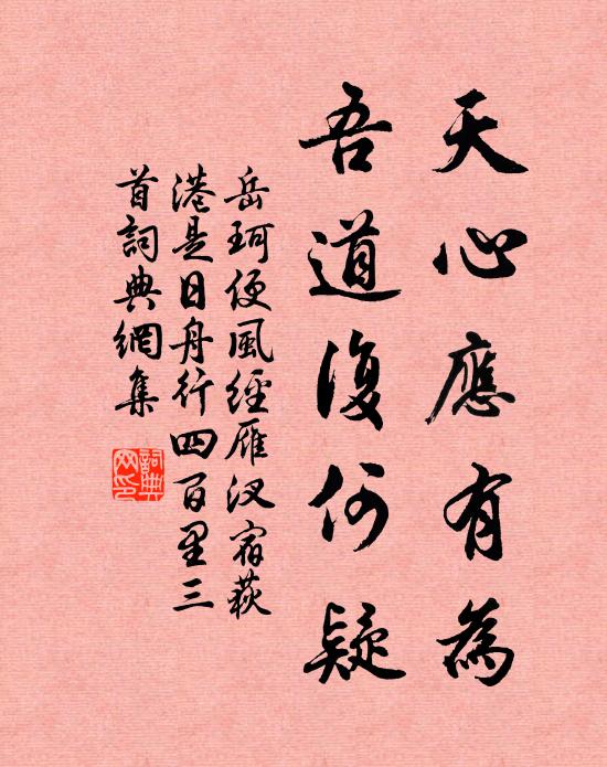 岳珂天心应有为，吾道复何疑书法作品欣赏