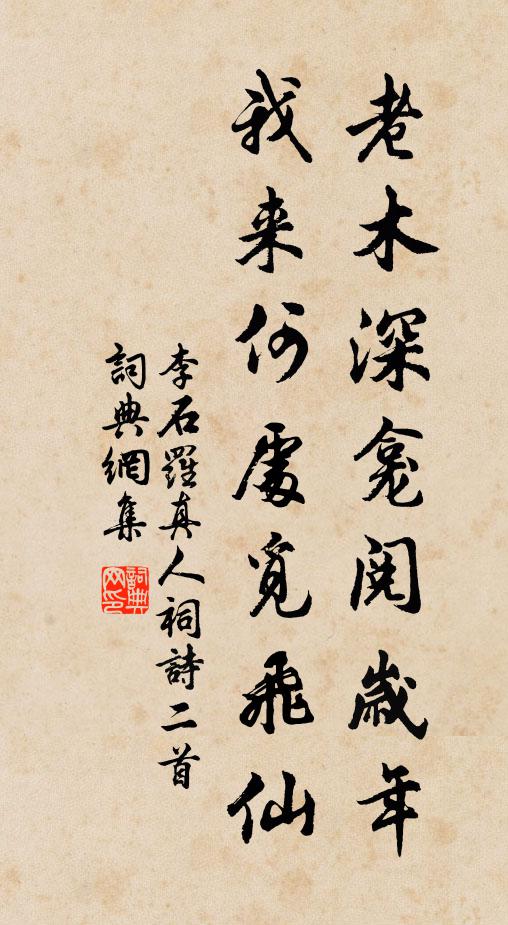 李石老木深龛阅岁年，我来何处觅飞仙书法作品欣赏