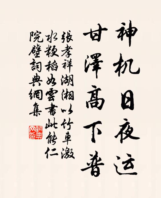 张孝祥神机日夜运，甘泽高下普书法作品欣赏