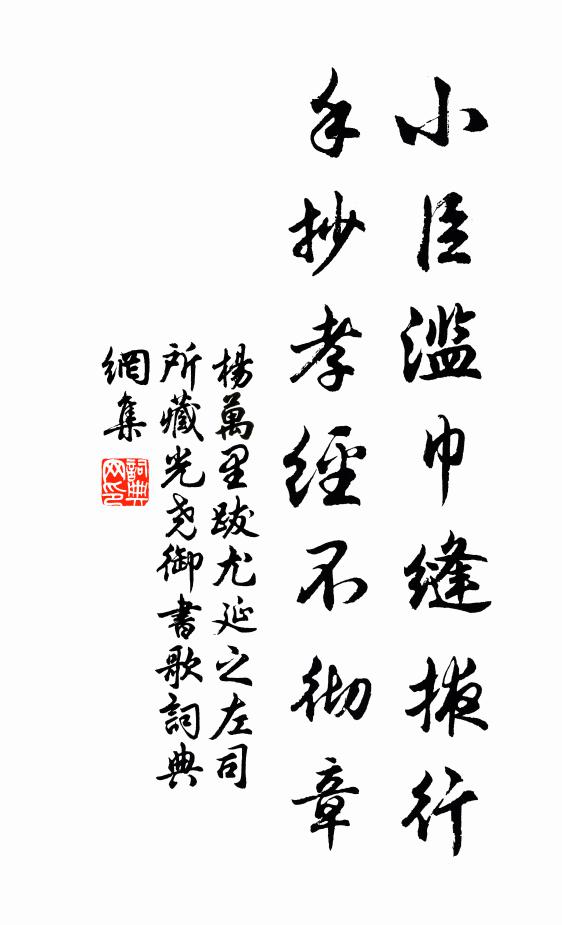 杨万里小臣滥巾缝掖行，手抄孝经不彻章书法作品欣赏