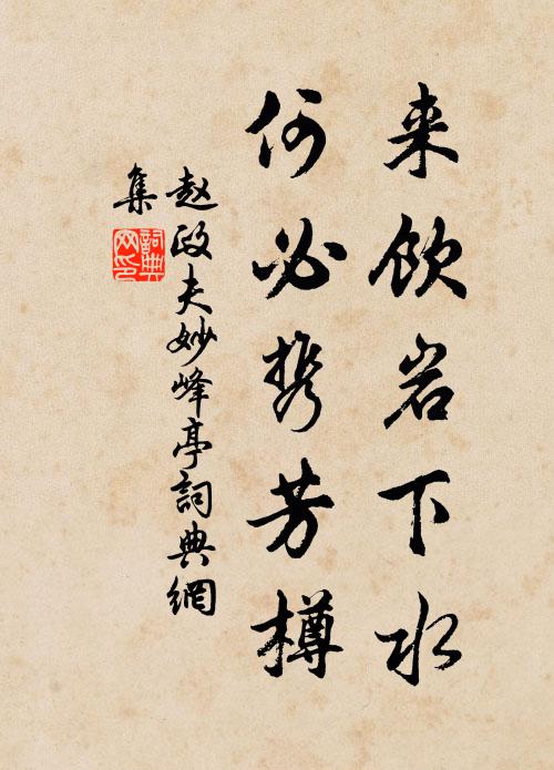 赵政夫来饮岩下水，何必携芳樽书法作品欣赏