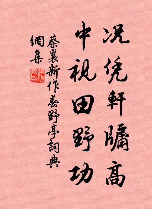 蔡襄况凭轩牖高，中视田野功书法作品欣赏