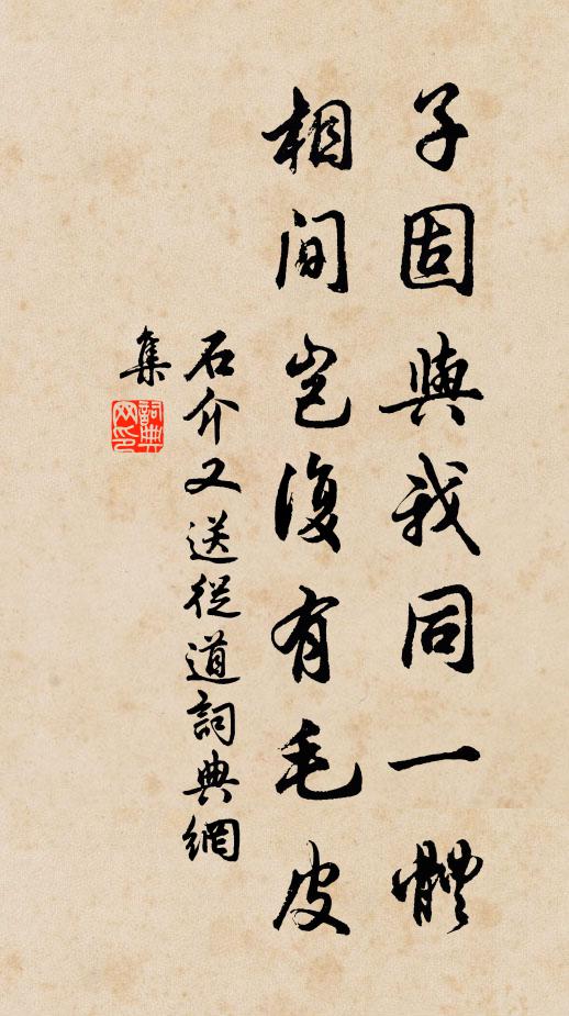 石介子固与我同一体，相间岂复有毛皮书法作品欣赏