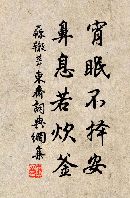 苏辙宵眠不择安，鼻息若炊釜书法作品欣赏