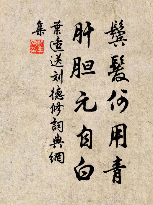 叶适鬓发何用青，肝胆元自白书法作品欣赏