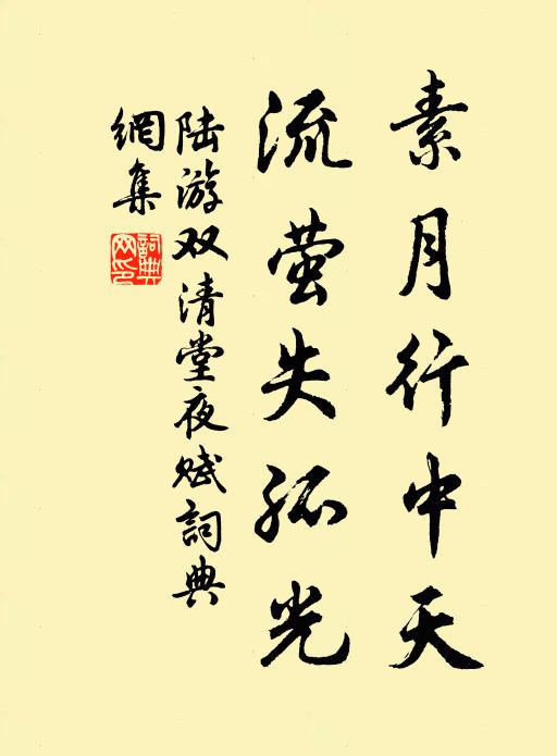 陆游素月行中天，流萤失孤光书法作品欣赏