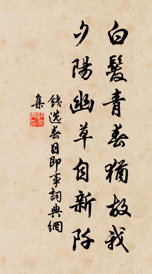 钱选白发青春犹故我，夕阳幽草自新阡书法作品欣赏