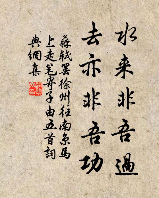 苏轼水来非吾过，去亦非吾功书法作品欣赏