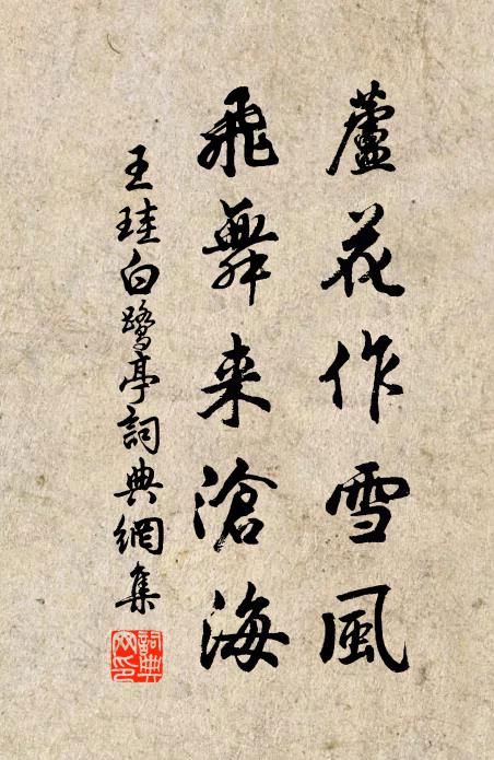 王珪芦花作雪风，飞舞来沧海书法作品欣赏