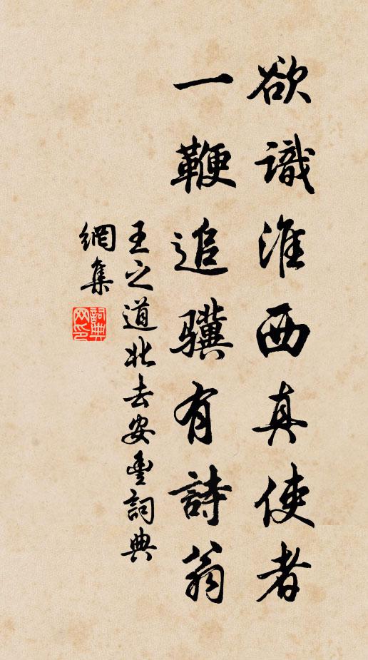 王之道欲识淮西真使者，一鞭追骥有诗翁书法作品欣赏